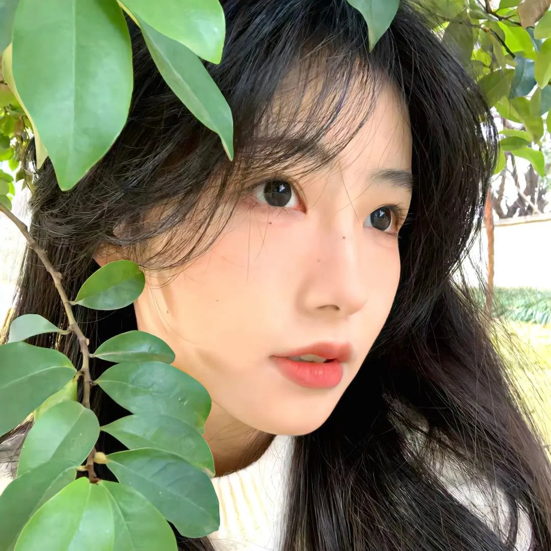 蜘蛛王国